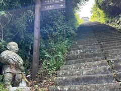 -武陵山森林公园