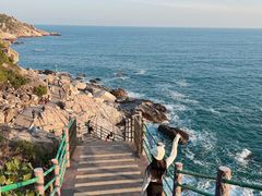 -广东惠东海龟国家级自然保护区