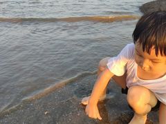 -浪琴湾度假村