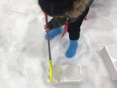 -Mr·Kuma酷么先生雪之乐园