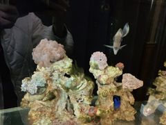 -网鱼网咖·电竞(中山友好广场店)