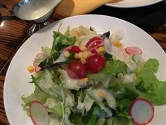 什锦蔬菜沙拉-申德勒加油站餐厅(三里屯北小街店)