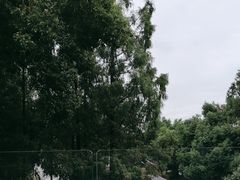 -J Create城市露营咖啡·简餐·宠物(上海动物园店)