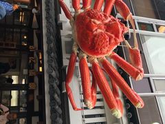 -蟹道乐(道顿堀本店)