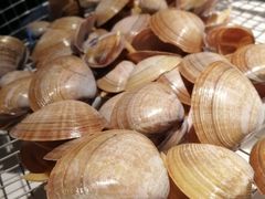 -海味当家·蒸锅海鲜(星海公园店)