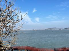 -东山风动石景区