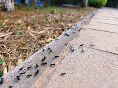 -函谷关历史文化旅游区