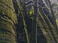 -梭布垭石林景区