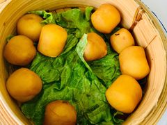 土豆-两个庆火锅公司(昌平府学路店)