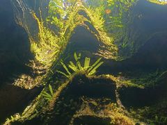 -神农溪纤夫文化旅游区