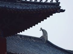 -商丘古城-应天书院