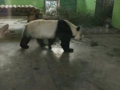 -石家庄市动物园