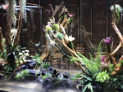 -趣陶陶艺手工坊(新世界百货重庆店)