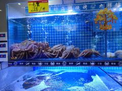 -九鲜坊烧烤城
