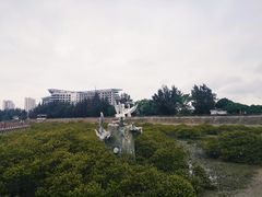 -北海金海湾红树林生态旅游区