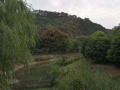 -幕燕滨江·长江观音景区