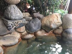 -金凤凰温泉度假村·凤凰汇中餐厅