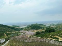 -冶父山国家森林公园