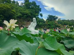 -广州莲花山旅游区