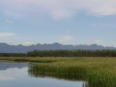 -野鸭湖国家湿地公园