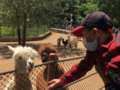 -大连森林动物园