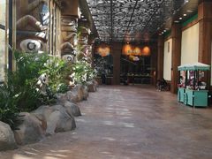 -杭州开元森泊度假乐园