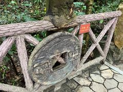 -广州市白云山风景名胜区