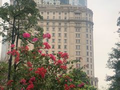 -广州富力君悦大酒店·凯菲厅