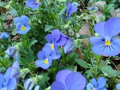 -苏州河梦清园环保主题公园