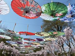 -武汉紫薇都市田园