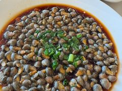 -华盛丰温州大排档(东三环南路店)