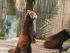 -泉州海丝野生动物世界