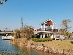 -王借岗森林公园