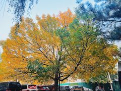 -元大都城垣遗址公园