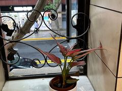 -红房子西菜馆(淮海中路店)