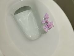 -潍坊鸢飞大酒店(泰华城店)