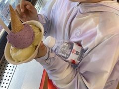 -极拉图·现制冰淇淋(大卫城店)