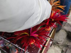 -磁器口古镇
