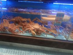 -阿伟海鲜楼·福建菜(延寿店)