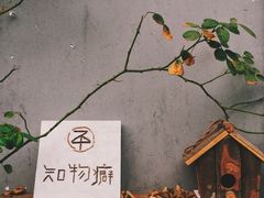 -知物癖(牛王庙店)