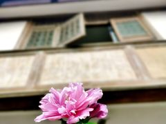 -海窝子古镇