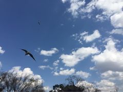 竹里馆-新竹里馆·花园餐厅(兴苑路店)