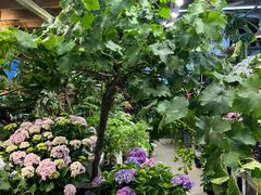 -双季花艺园艺市场(浦东店)