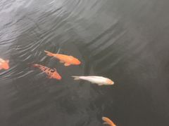 -章樾公园