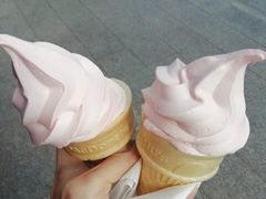 蜜桃乌龙冰淇淋-麦当劳(北京上地十街餐厅店)