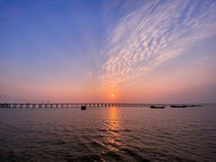 -宝安西湾红树林湿地公园