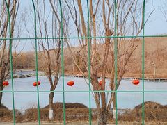 -云岗森林公园