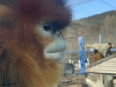 -大连森林动物园