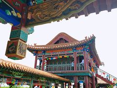 -哈素海