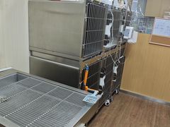 -中农大我爱我爱24h动物医院·中医针灸·猫专科·骨科医疗中心(双井店)